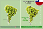 20060826170227-pisco-mapa-n.jpg
