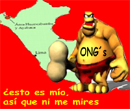 20061031110717-ong-peru-n.jpg